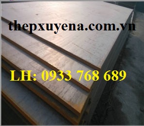 http://thepxuyena.com.vn/San-pham/THEP-TAM-SS540-ad1065.html