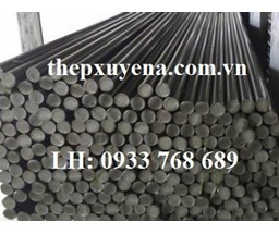  THÉP TRÒN ĐẶC PHI 20