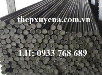  THÉP TRÒN ĐẶC PHI 20