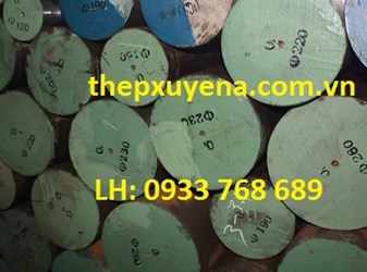  THÉP TRÒN ĐẶC PHI 120