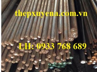 THÉP TRÒN ĐẶC PHI 14