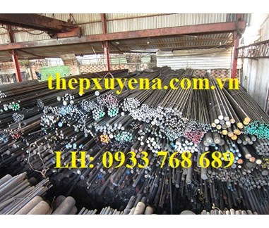  THÉP TRÒN ĐẶC PHI 300