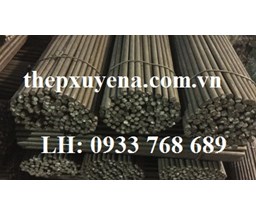  THÉP TRÒN ĐẶC PHI 10