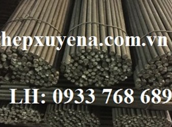  THÉP TRÒN ĐẶC PHI 10