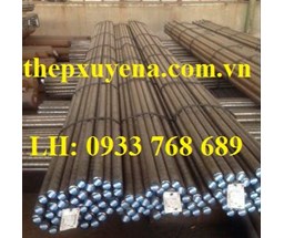  THÉP TRÒN ĐẶC PHI 9