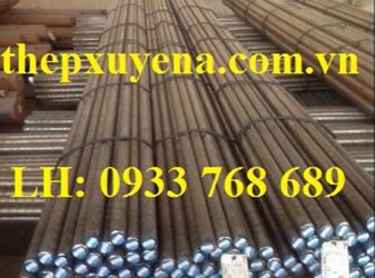  THÉP TRÒN ĐẶC PHI 9