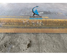 THÉP TẤM DÀY 75LY/75MM/75LI