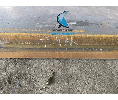 THÉP TẤM DÀY 75LY/75MM/75LI